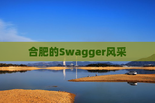 合肥的Swagger风采
