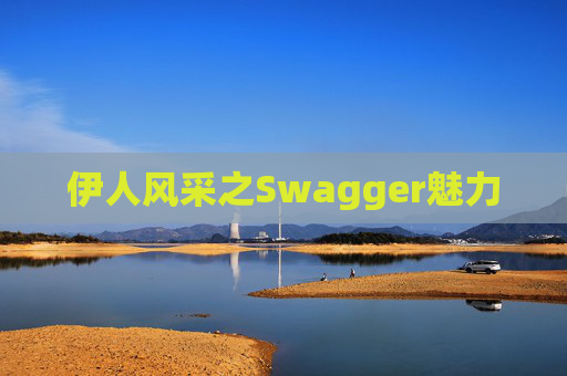 伊人风采之Swagger魅力